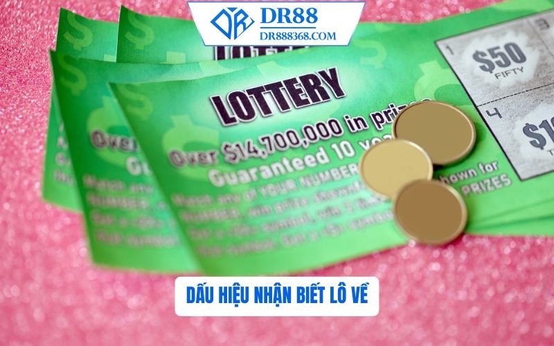 Dấu Hiệu Nhận Biết Lô Về